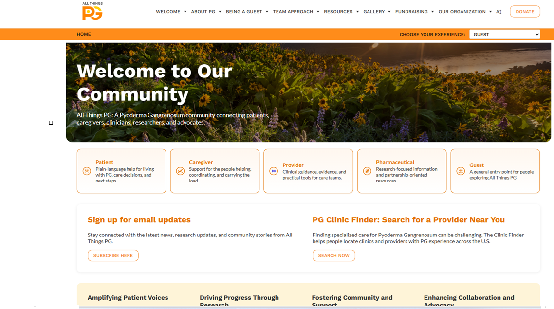 The POC home page presents five visitor experiences: Patient, Caregiver, Provider, Pharmaceutical, and Guest.